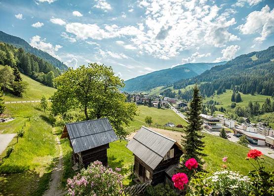 Frühling am Gutzingerhof